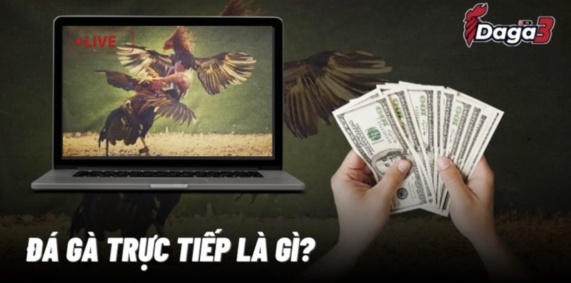 Đá gà trực tiếp là gì?